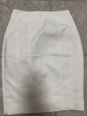 Express White Fitted Pencil Skirt with Panel Seams